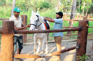 Rajagiri Horse Riding Academy